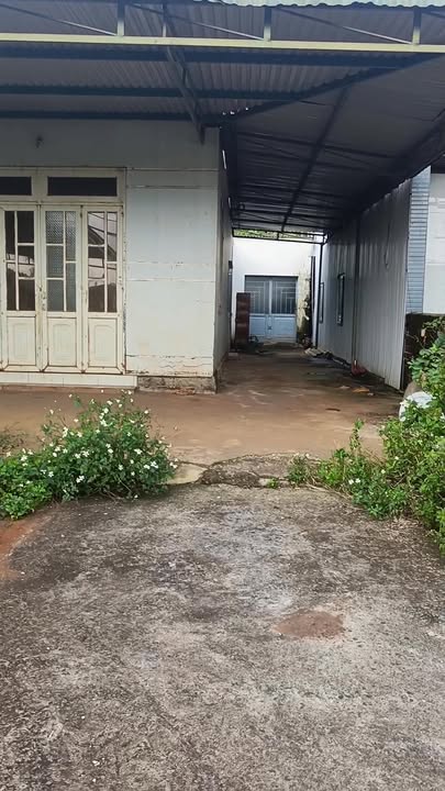 Đất nền kinh doanh sầm uất tại Thuận An, Đắk Mil - Diện tích 320m², giá 2.2 tỷ thương lượng!