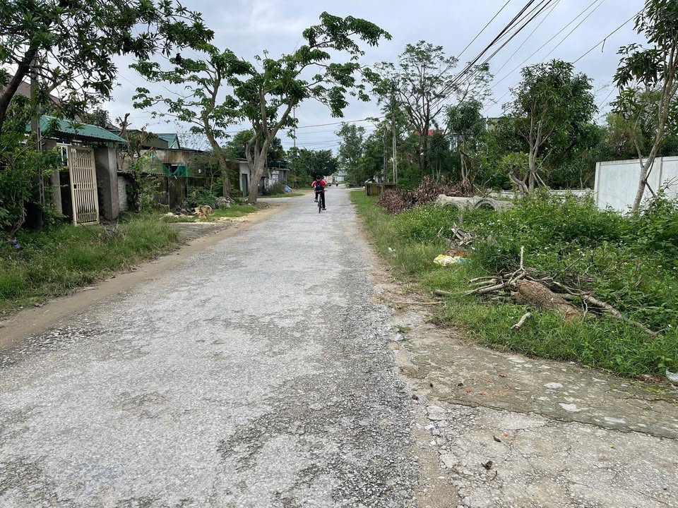 Đất Nghi Đức 110m² giá 3 tỷ - Gần 3 trường đại học, đường rộng thoáng!