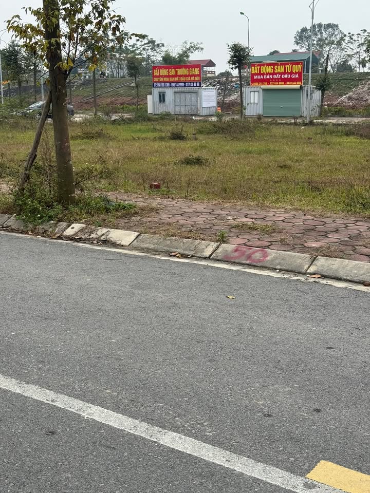 Đất đấu giá Mục Xá 75m² giá 4 tỷ - Cơ hội đầu tư hấp dẫn!