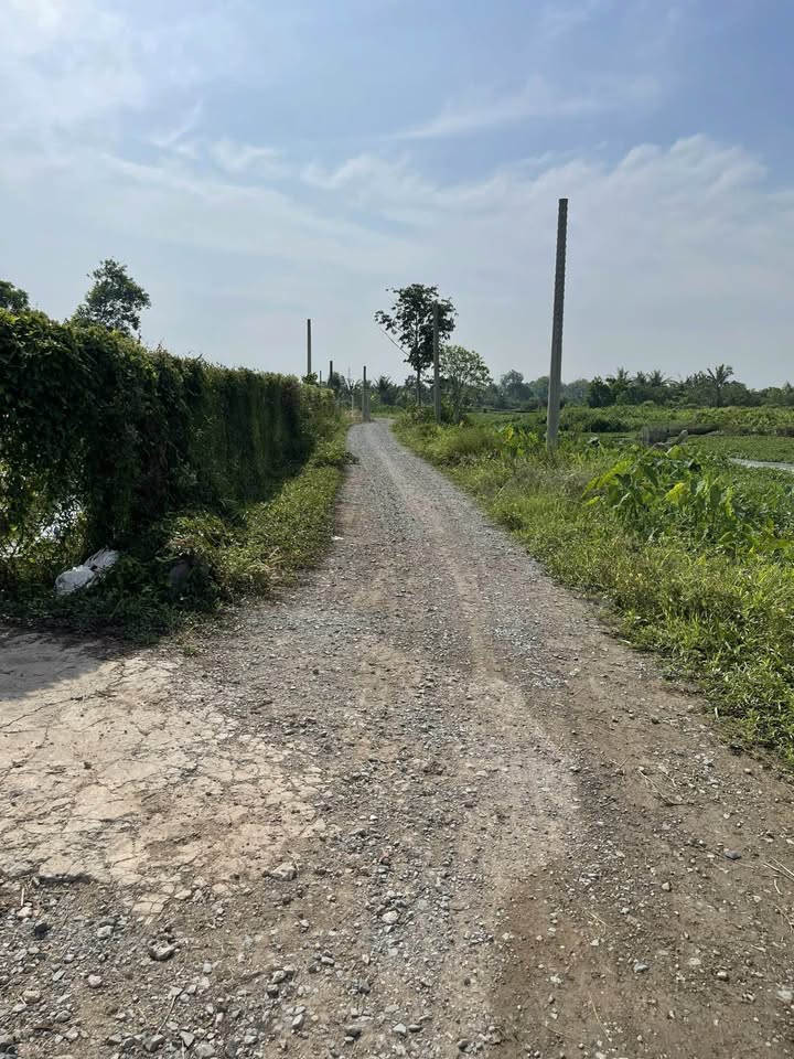 Đất Phú An Bến Cát 6000m² giá 12 tỷ - Gần sông Sài Gòn mát mẻ!