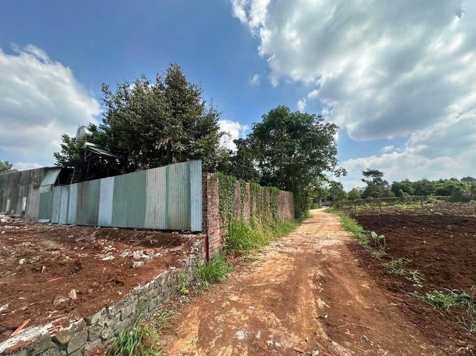 Đất thổ cư Xuân Tân Long Khánh 110m² giá 750 triệu - Sổ riêng, đầu tư sinh lời!