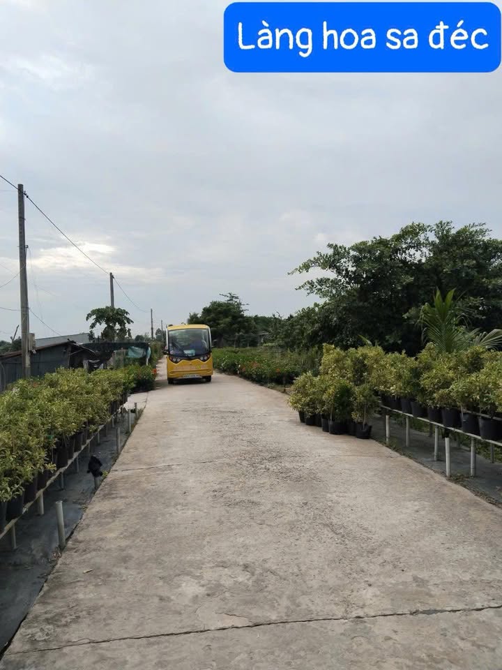 Đất mặt tiền Tân Khánh Đông, Sa Đéc 2400m² - Cơ hội đầu tư vàng!