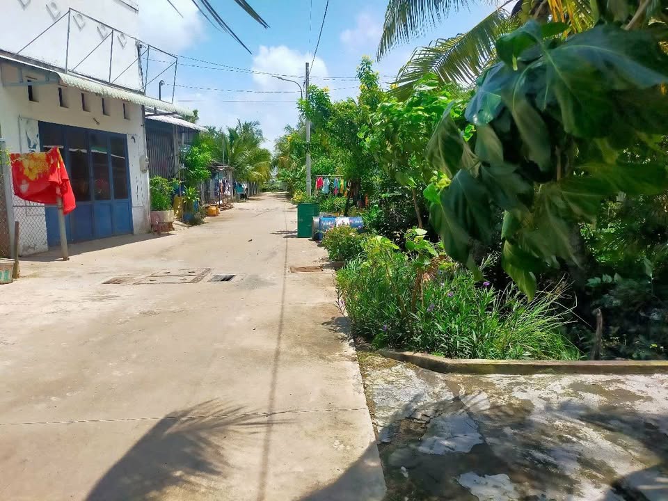 Nhà cho thuê tại Đường Phạm Ngọc Thạch, Sóc Trăng 100m² - Không gian thoáng mát lý tưởng!