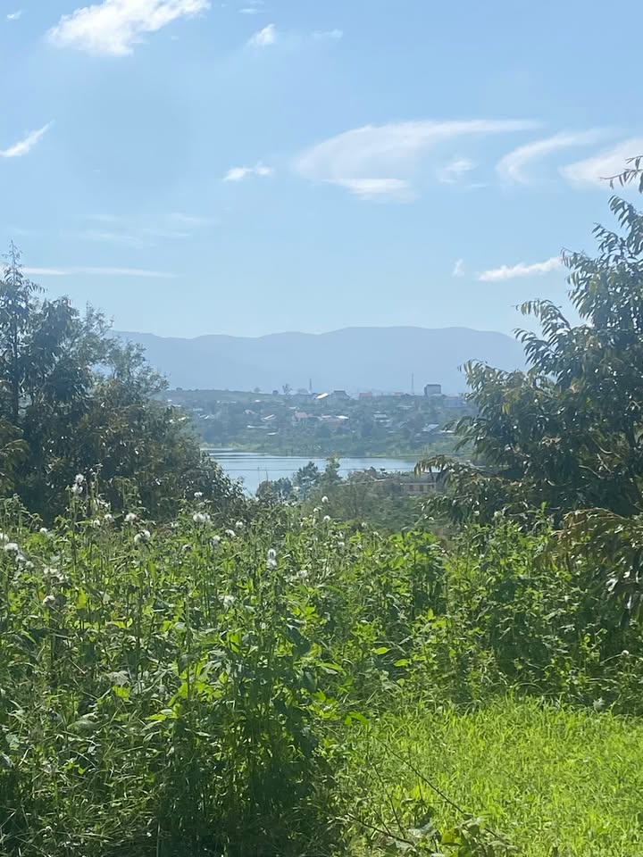 Đất nền Tân Châu, Di Linh 490m² giá chỉ 1 tỷ - Cơ hội đầu tư tuyệt vời!