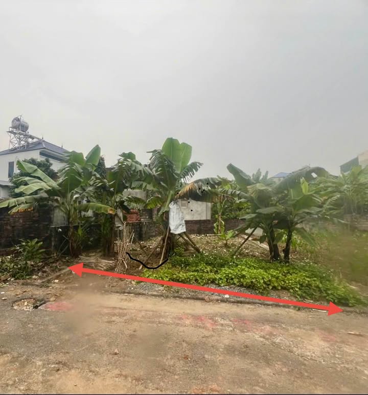 Đất thổ cư Hạ Bằng, Thạch Thất 60m² giá 2 tỷ - Tiềm năng tăng giá cao!