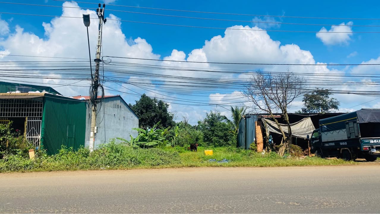 Đất mặt tiền Quốc Lộ 14 Cư M'gar 292m² giá 6.2 tỷ - Đầu tư sinh lời ngay!