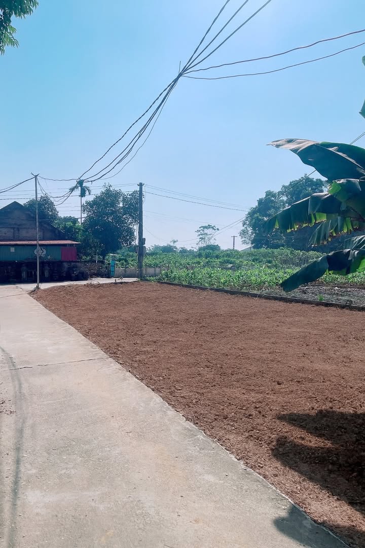 Đất nền xã Hy Cương 171m² giá 1 tỷ - Vị trí thoáng đẹp, 2 mặt tiền!