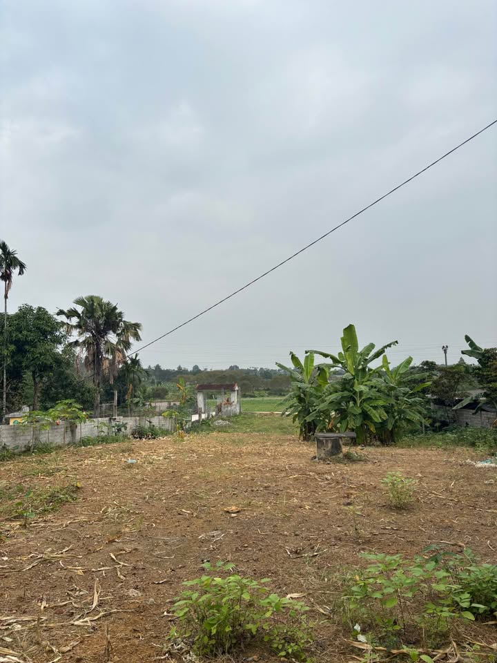 Lô đất 2 mặt tiền Tản Lĩnh Ba Vì 1187m² giá thỏa thuận - View núi tuyệt đẹp!