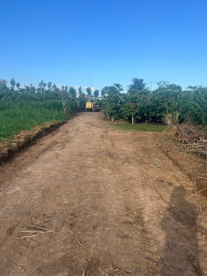 Đất thổ cư Tân Hội 200m² giá 580 triệu - Đầu tư sinh lời ngay!