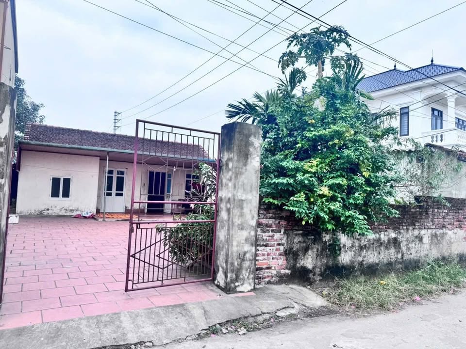 Đất ở ô Thi, Nga Sơn, Thanh Hóa 300m² giá 2 tỷ - Cơ hội đầu tư hấp dẫn!