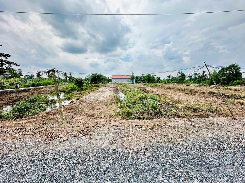 Đất nền mặt tiền view sông Vàm Cỏ Đông 1200m² - Sổ hồng riêng, giá tốt!