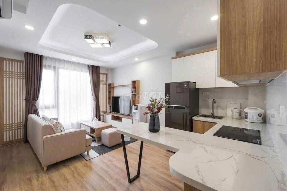 Căn hộ cho thuê 1PN 55m² tại Hai Bà Trưng, quận 1 chỉ 15 triệu - Full nội thất, vào ở ngay!