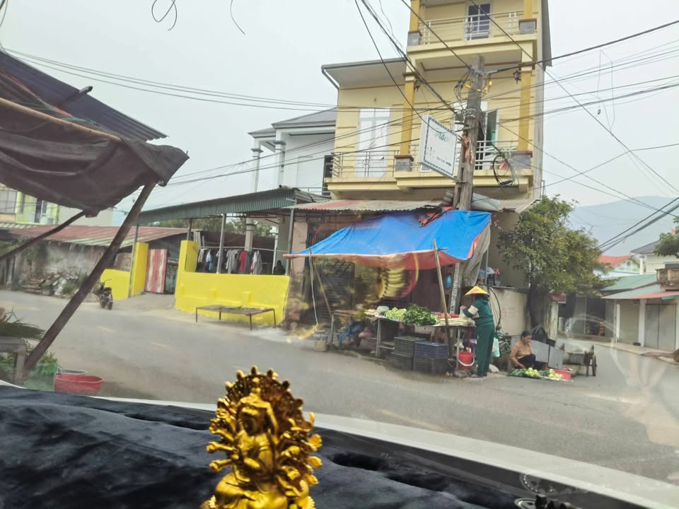 Đất nền Minh Quang - Tam Đảo 110m² giá 800 triệu - Gần chợ tiện lợi!