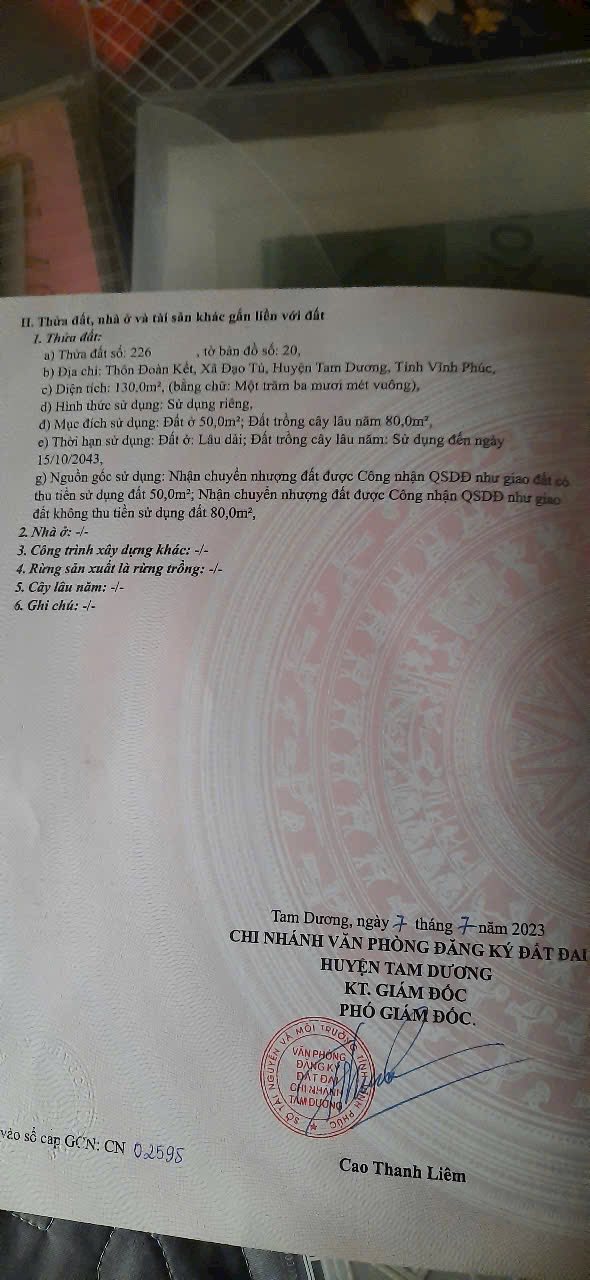 Đất nền 130m² tại Xóm Đoàn Kết, Đạo Tú, Tam Dương giá 1.7 tỷ - Đầu tư sinh lời lý tưởng!