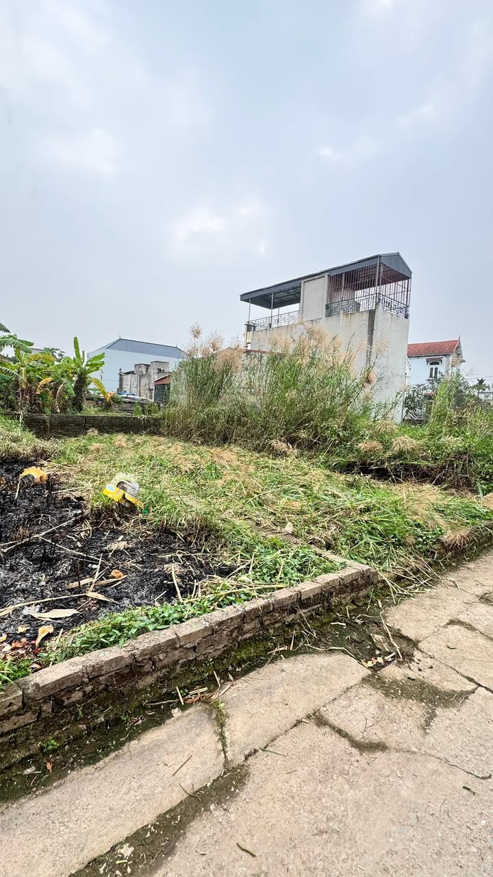 Đất nền Thư Phú, Thường Tín 50m² giá 2.95 tỷ - Tiềm năng đầu tư lớn!