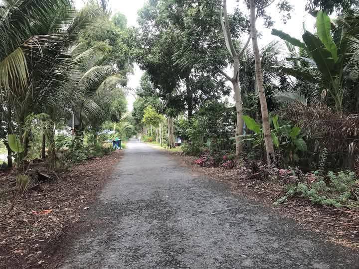 Đất nền mặt tiền đường Cầu Kho, Vĩnh Long 1804m² giá 5.412 tỷ - Tiềm năng đầu tư cực tốt!