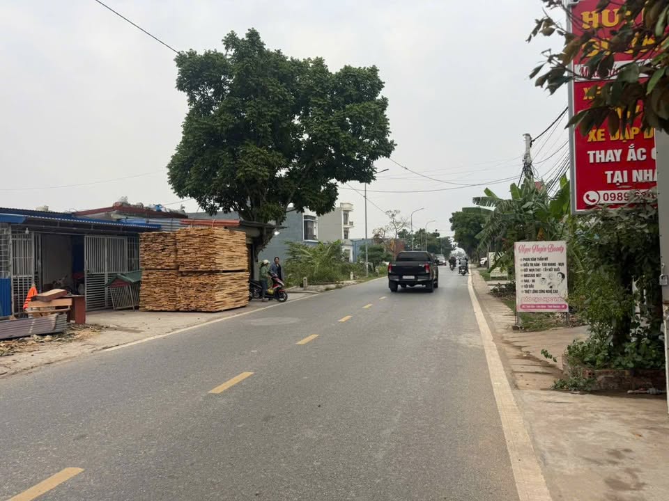 Đất mặt đường 203 Thiên Hương 125m² giá chỉ 4.8 tỷ - Đầu tư sinh lời ngay!