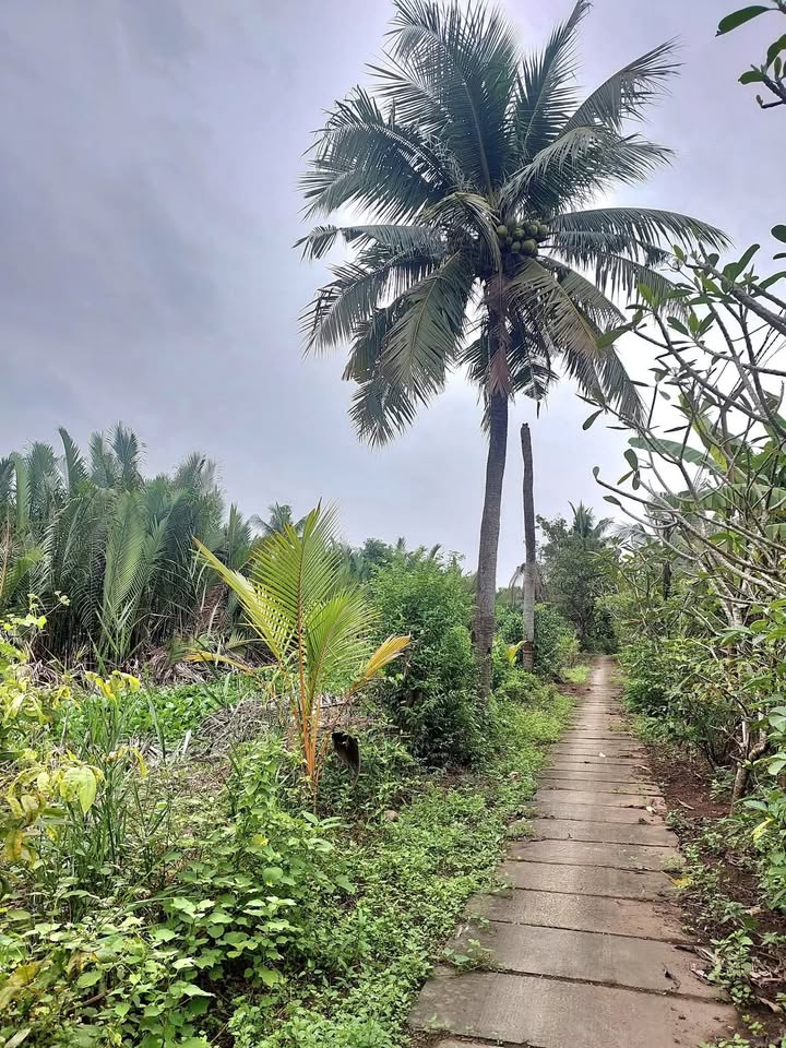 Đất nền 200m² đường số Thạnh Mỹ Lợi Quận 2 - Giá chỉ 5.8 tỷ, đầu tư sinh lời!