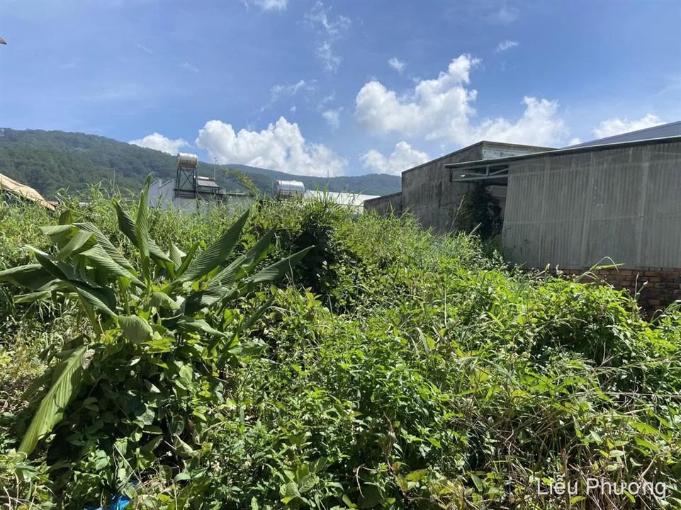 Đất đầu Thạnh Mỹ 360m² giá 3 tỷ - Đầu tư sinh lời hấp dẫn!