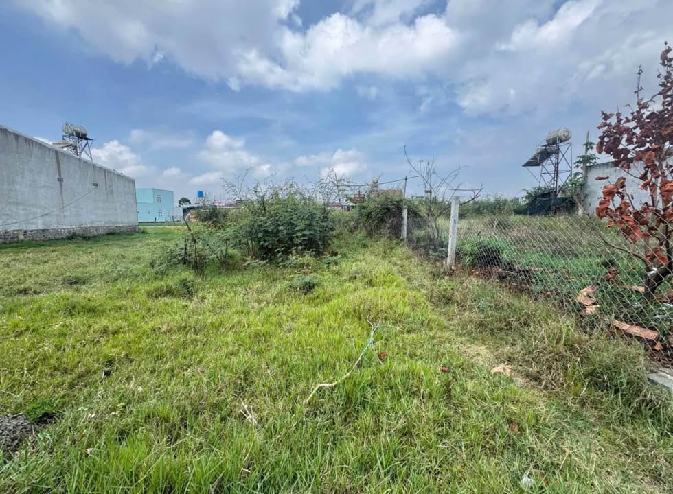 Đất ở nông thôn tại Phú Hội, Đức Trọng 115m² giá 890 triệu - Cơ hội đầu tư tuyệt vời!