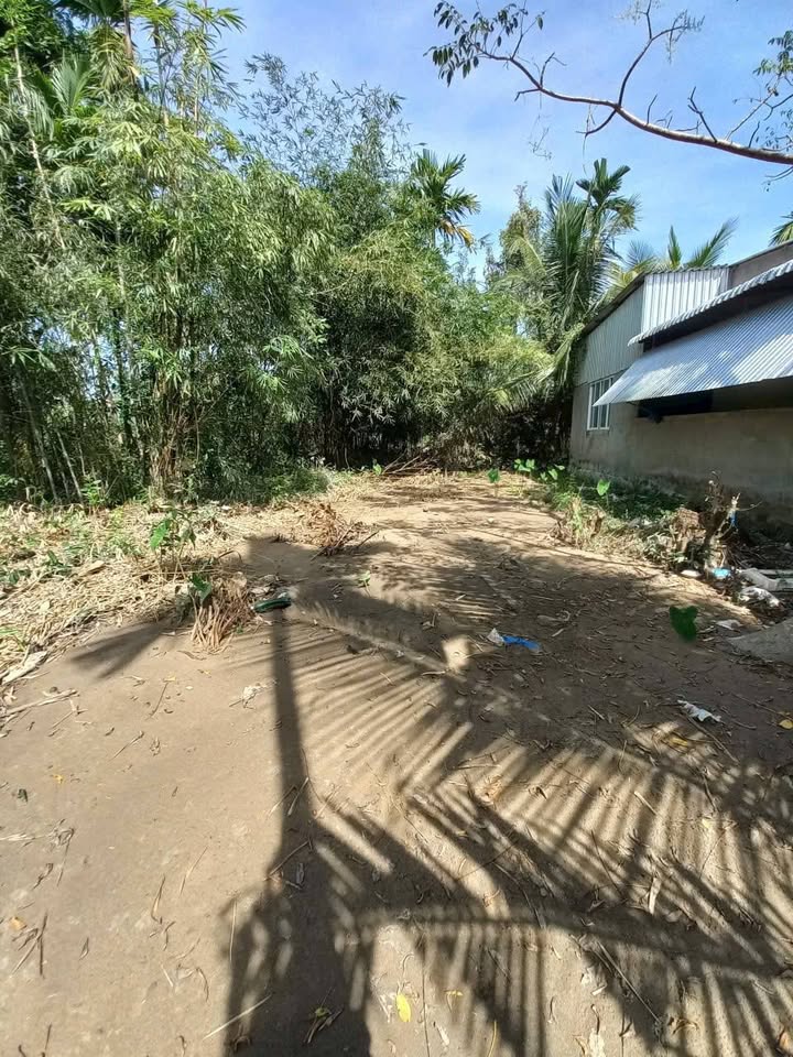 Đất thổ cư 150m² tại Đồng Giai, Xuân Phong - Giá chỉ 550 triệu!