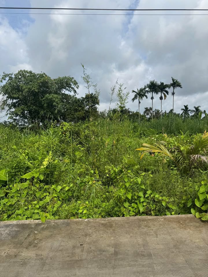 Đất nền Bình Thủy Cần Thơ 300m² giá 1.2 tỷ - Cơ hội đầu tư tuyệt vời!