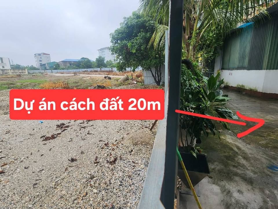 Đất nền Như Quỳnh 75m² giá 5 tỷ - Vị trí vàng, đầu tư sinh lời!