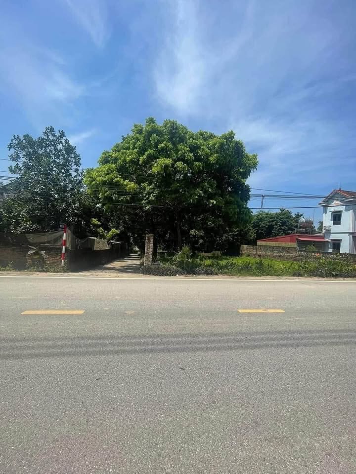 Đất nền góc đẹp nhất Suối Hai, Ba Vì 1120m² giá chỉ 1x tỷ - Đầu tư lý tưởng!