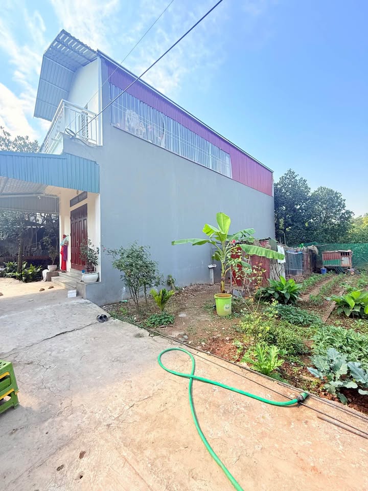 Đất Hát Môn 65m² giá thỏa thuận - Vị trí đẹp, dân cư đông đúc!