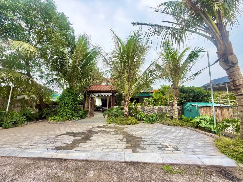 Đất Nền Ninh Xuân 650m² giá 6.5 tỷ - Vùng đất nghỉ dưỡng lý tưởng!