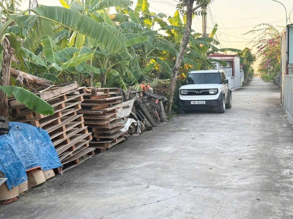 Đất nền Chiến Thắng An Lão 78m² - Gần đường chính, vị trí đẹp!