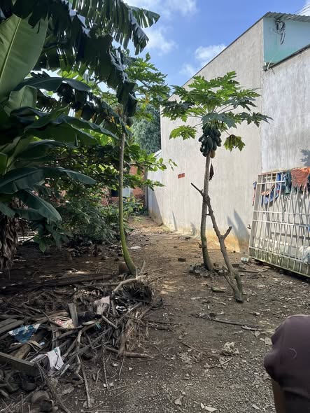 Lô đất Tân Hạnh Dĩ An 110m² giá 930 triệu - Sổ đỏ chính chủ, vị trí đắc địa!