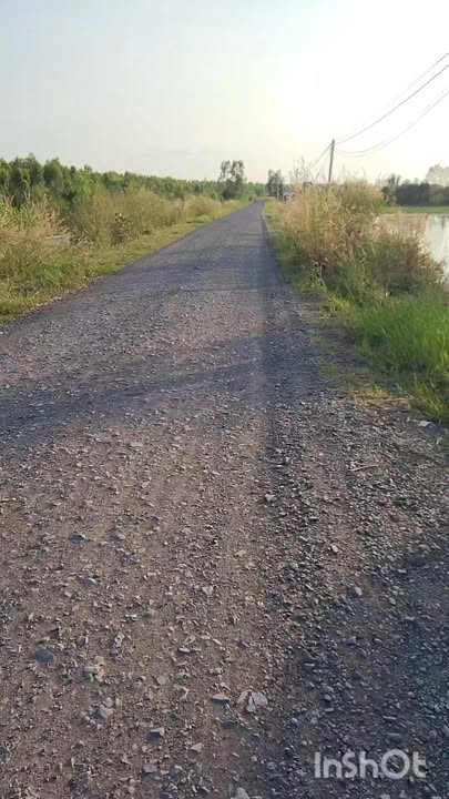 Đất nông nghiệp 20000m² xã Tân Hiệp, Thạnh Hóa - Đầu tư sinh lời chỉ 2 tỷ!