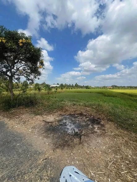 Đất nền mặt tiền Lê Văn Cảng, Tân An 2031m² giá 4.9 tỷ - Đầu tư sinh lời ngay!