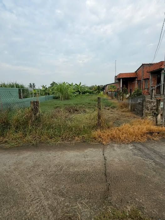 Đất nền 140m² ấp 3 Lạc Tấn Tân Trụ giá 400 triệu - Cơ hội đầu tư hấp dẫn!