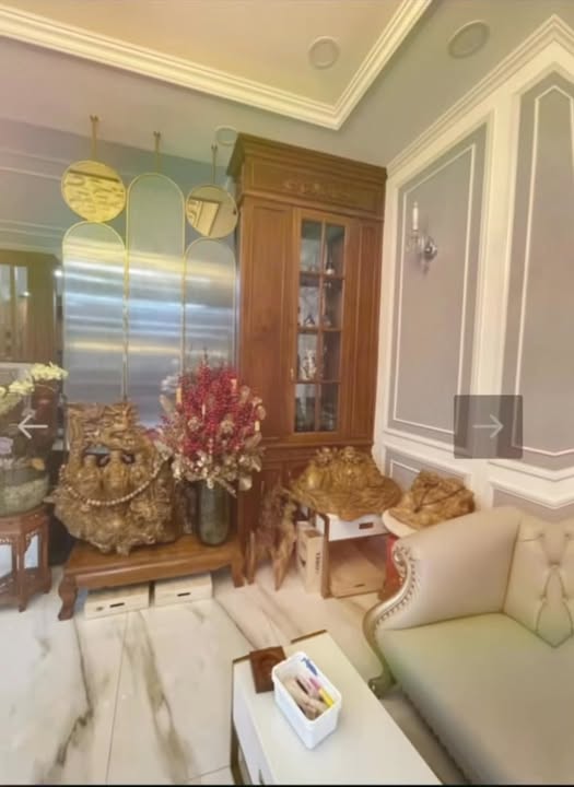 Biệt thự Châu Âu 119m² giá 15 tỷ - Đẳng cấp sống gần Co.opmart Thủ Đức!