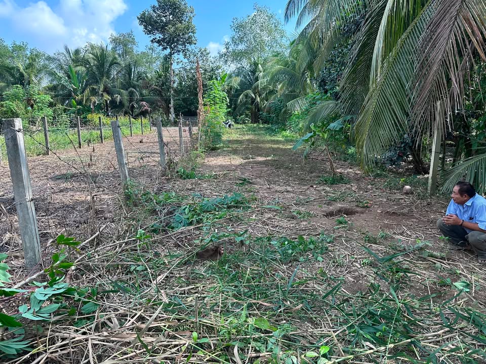 Đất mặt tiền lộ ô tô Long Phước 315.9m² chỉ 1.01 tỷ - Đầu tư sinh lời ngay!