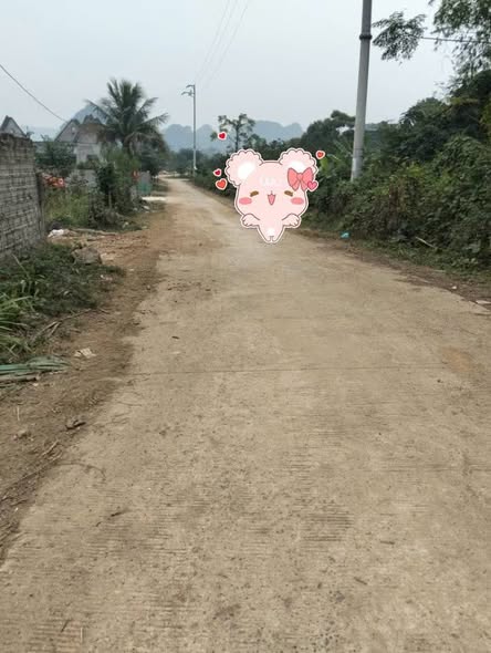 Đất nền Đoàn Kết, Yên Thủy 1600m² giá 1 tỷ - Cơ hội đầu tư tuyệt vời!