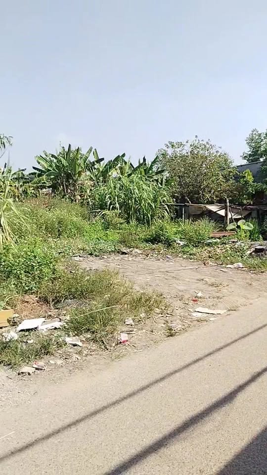 Đất nền Hùng Vương, Long Thọ, Nhơn Trạch 115m² giá chỉ 1 tỷ - Cơ hội đầu tư tuyệt vời!