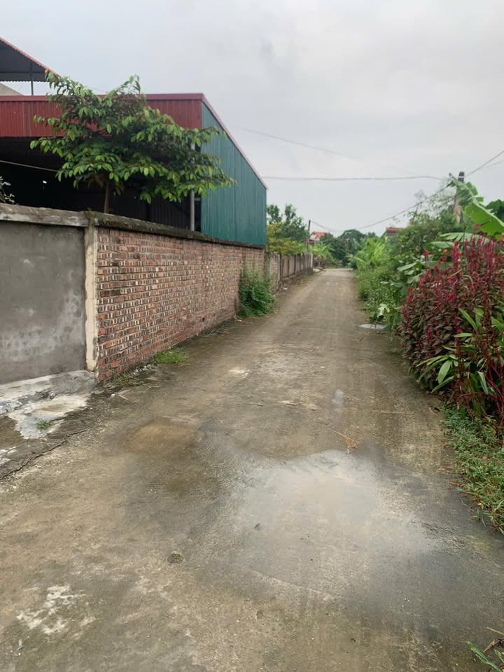 Bán lô đất thôn Phương Triện, Đại Lai, 124m² - Đầu tư tiềm năng sinh lời cao!