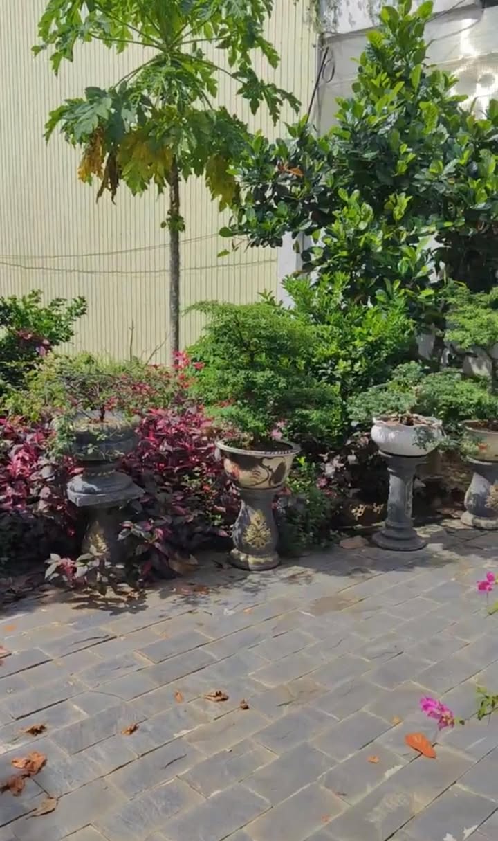 Đất vườn 300m² Nghĩa Dõng giá 2 tỷ - Chính chủ bán gấp!