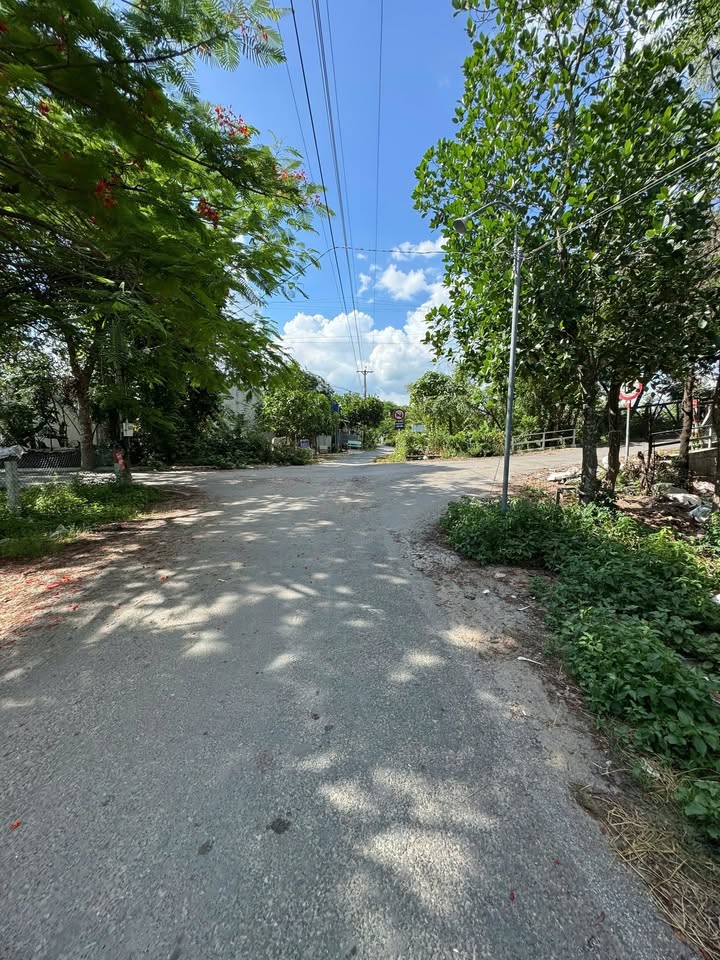 Đất thổ cư 150m² KDC Long An - Mặt tiền đường, gần chợ, giá thương lượng!