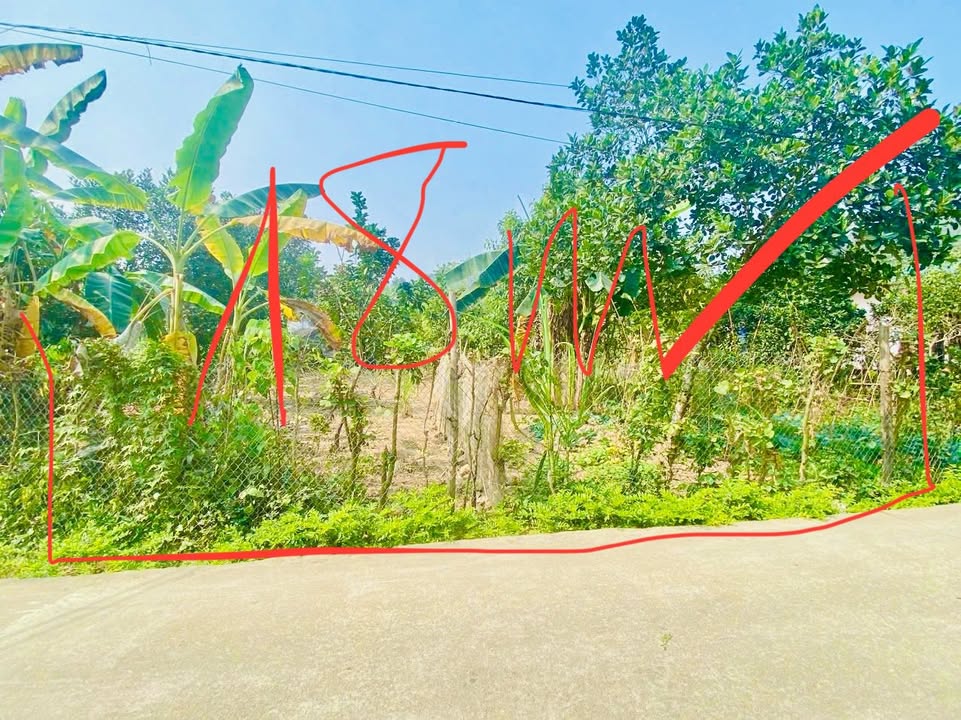 Đất thổ cư 510m² tại Ngọc Mỹ, Lập Thạch, giá chỉ 1.3 tỷ - Đầu tư sinh lời cao!