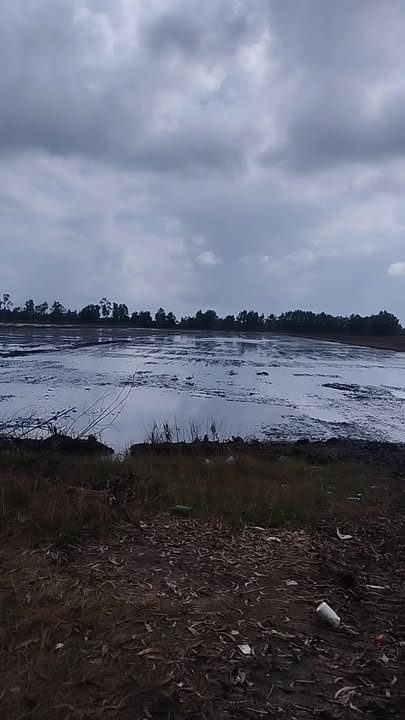 Đất nông nghiệp 52 công tại Phú Lợi, Giang Thành - Giá chỉ 3.995 tỷ, thương lượng tốt!