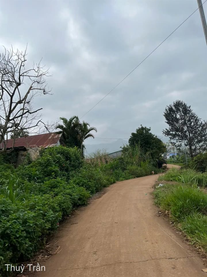 Đất nền Quảng Lập 300m² giá 610 triệu - Tiềm năng đầu tư cao!