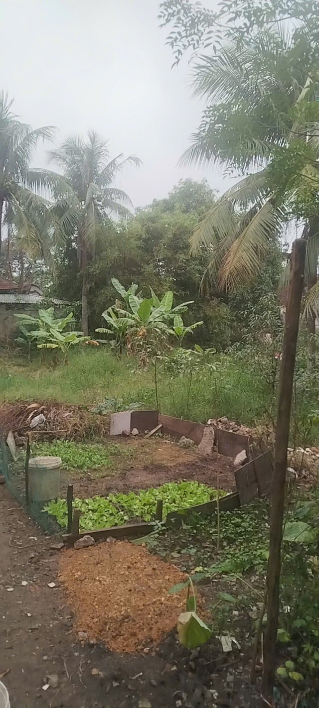 Đất nền Hàm Rồng, Thanh Hóa 90m² giá 1.1 tỷ - Đầu tư sinh lời ngay!