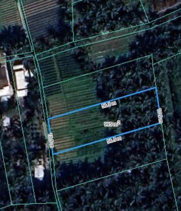 Đất Nền Nhuận Phú Tân Mỏ Cày Bắc 995m² giá 850 triệu - Pháp lý rõ ràng!