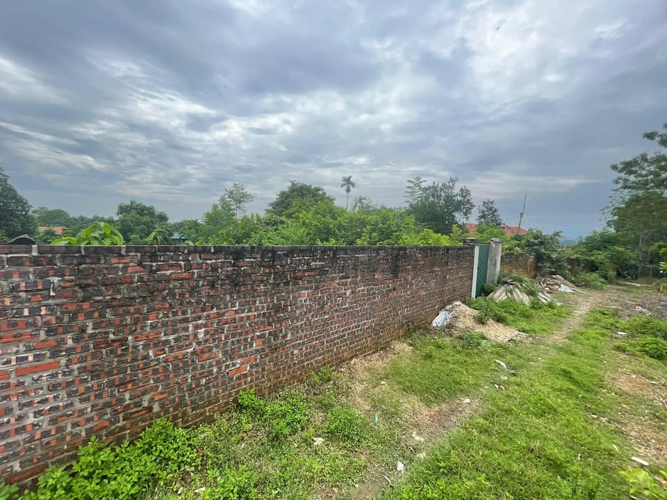 Đất nền Vật Lại, Ba Vì 100m² giá chỉ 900 triệu - Đầu tư sinh lời ngay!