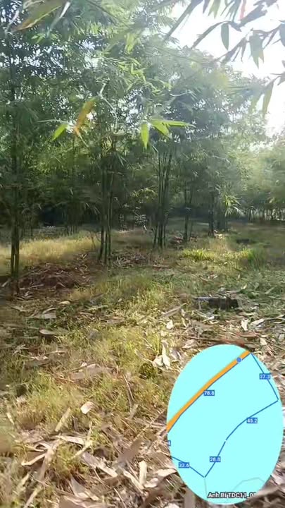 Đất nền xã Sơn Bình, Châu Đức 2953m² giá 10.631 tỷ - Sổ đỏ chính chủ