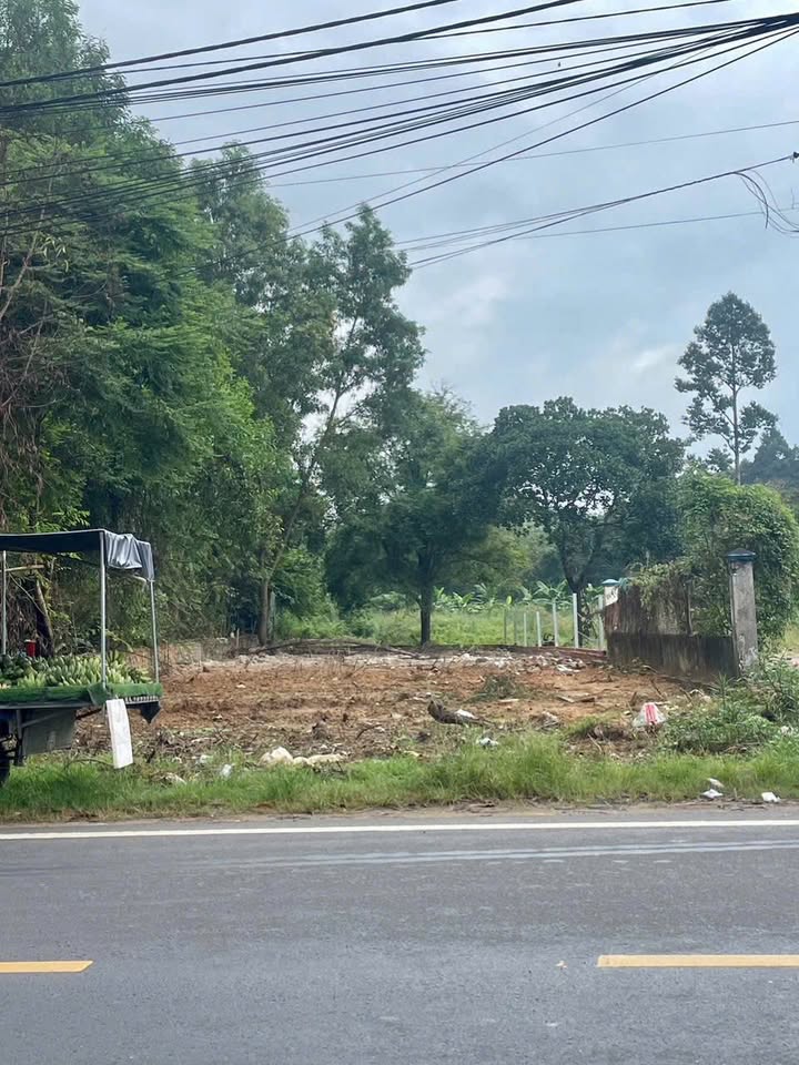 Đất nền mặt tiền Hùng Vương Nhơn Trạch 509m² giá 13 tỷ - Cơ hội đầu tư lý tưởng!